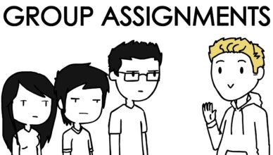 Domics Group Assignements